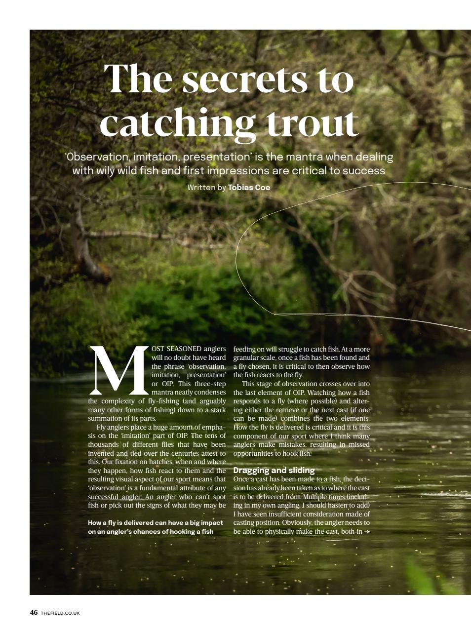 The Field Preview Pages