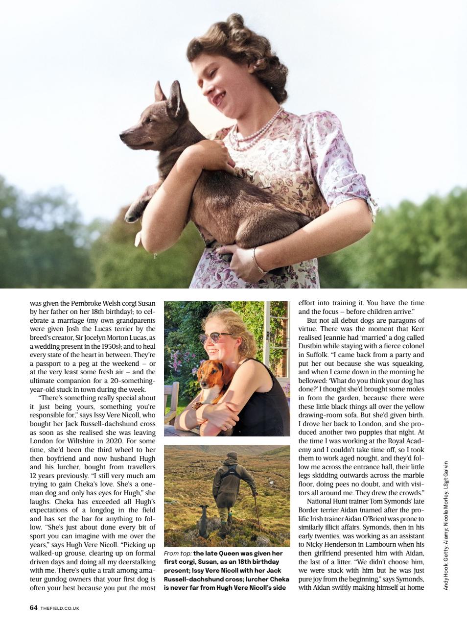 The Field Preview Pages