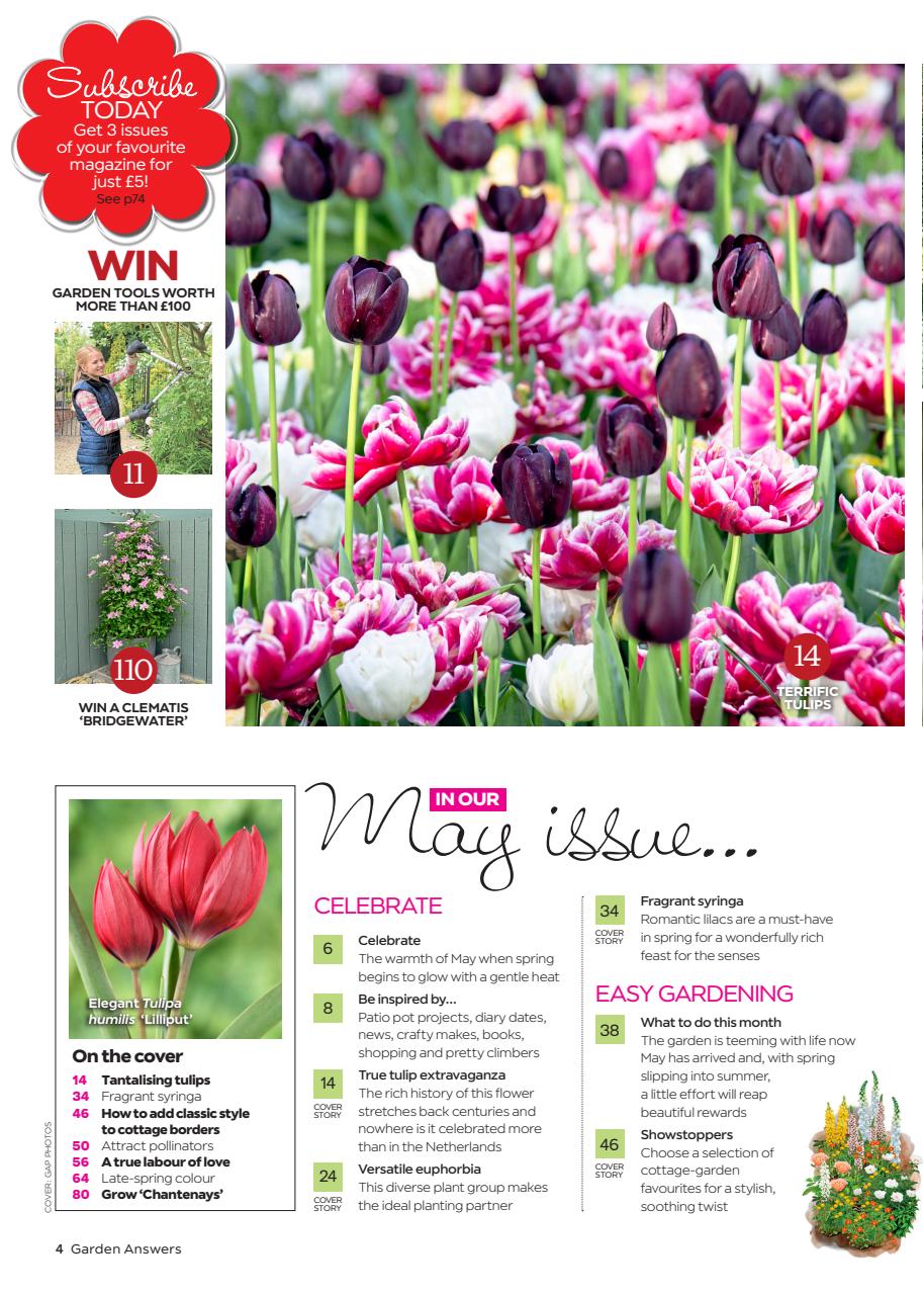 Garden Answers Preview Pages