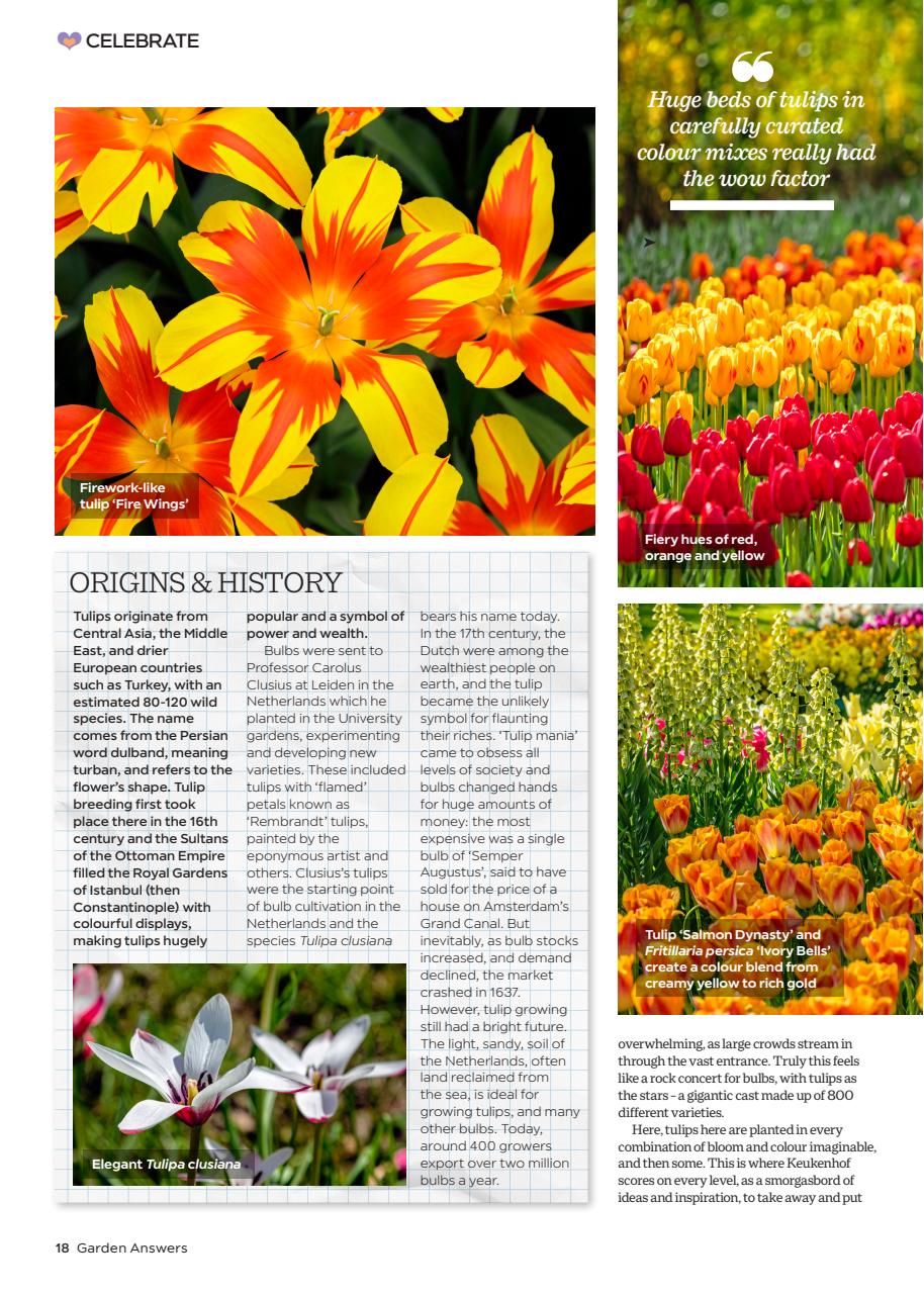 Garden Answers Preview Pages