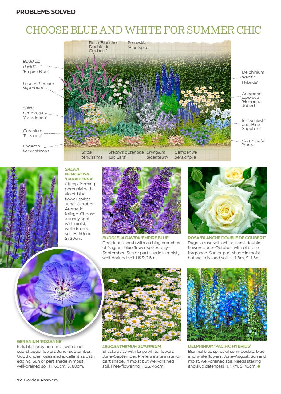 Garden Answers Preview Pages