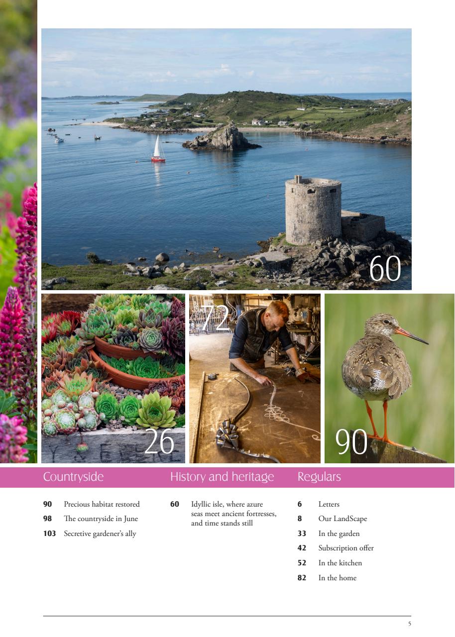 LandScape Preview Pages