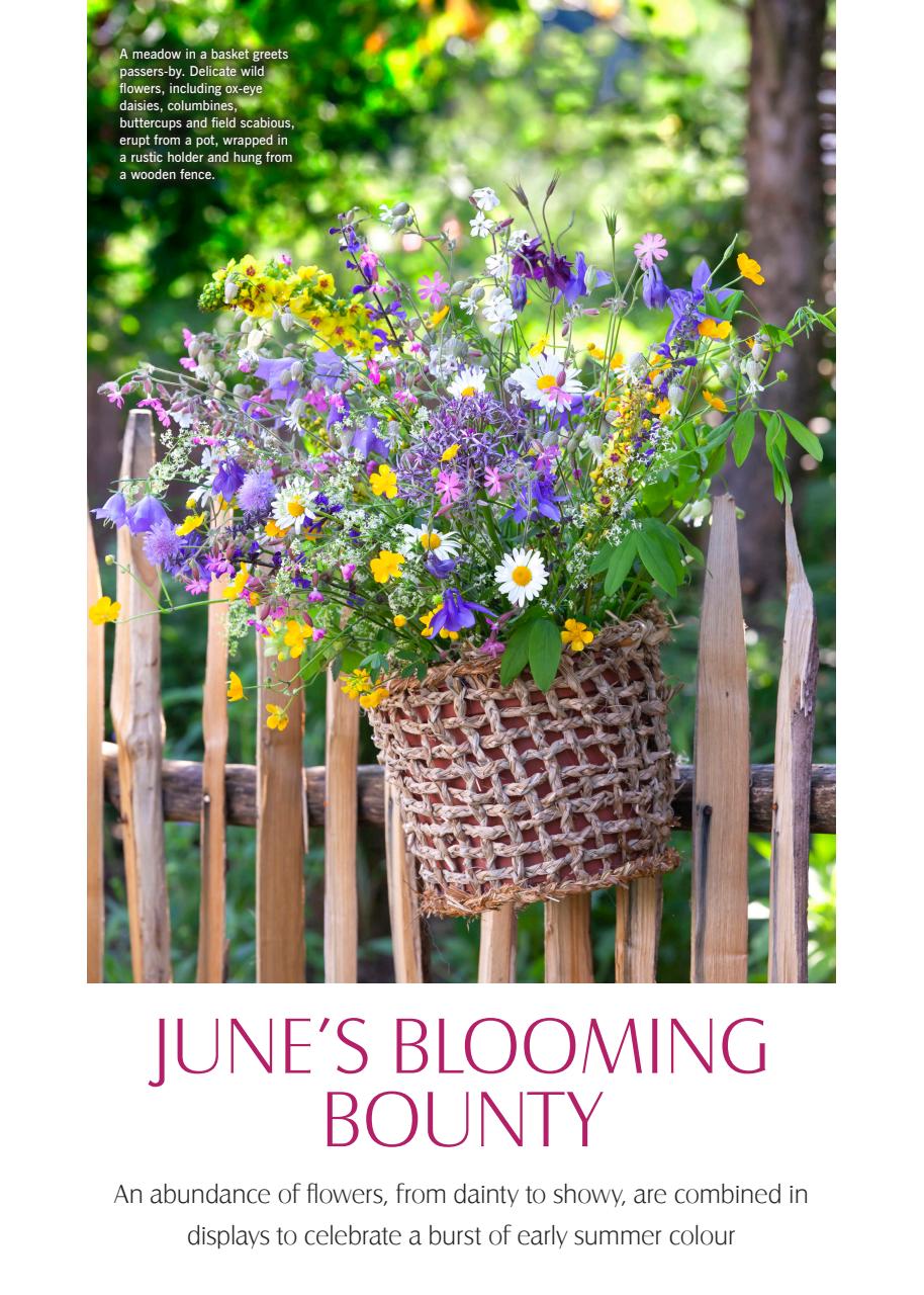 LandScape Preview Pages