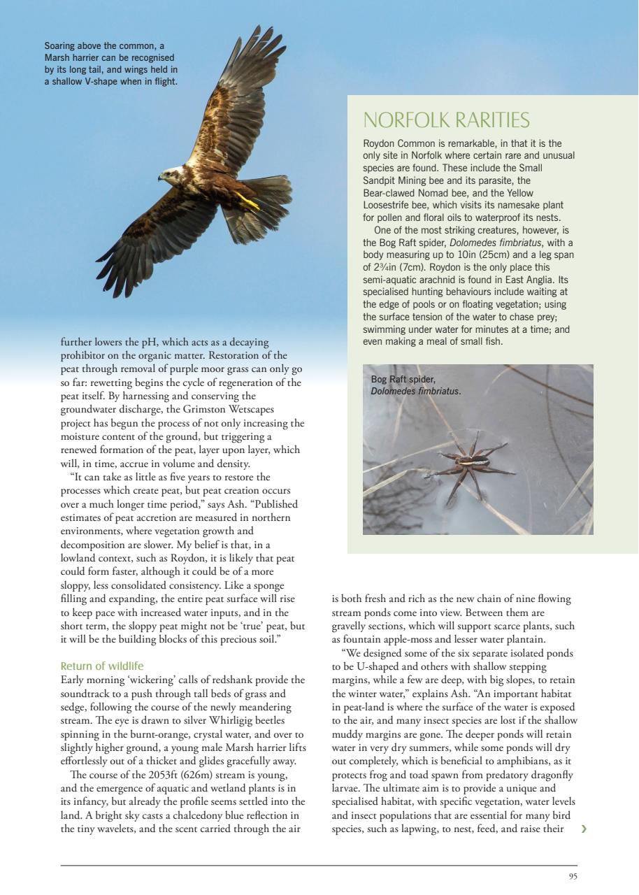 LandScape Preview Pages