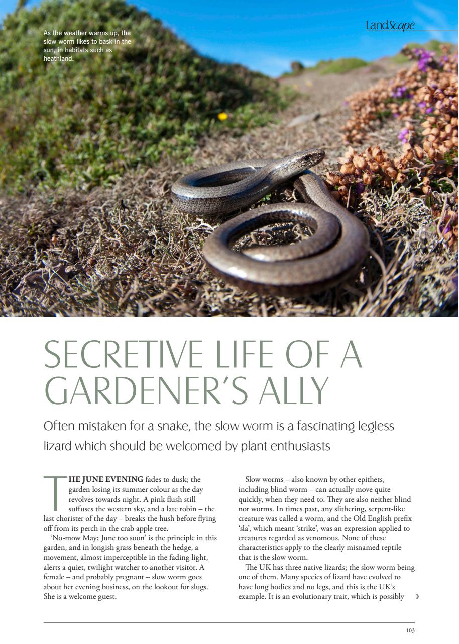 LandScape Preview Pages