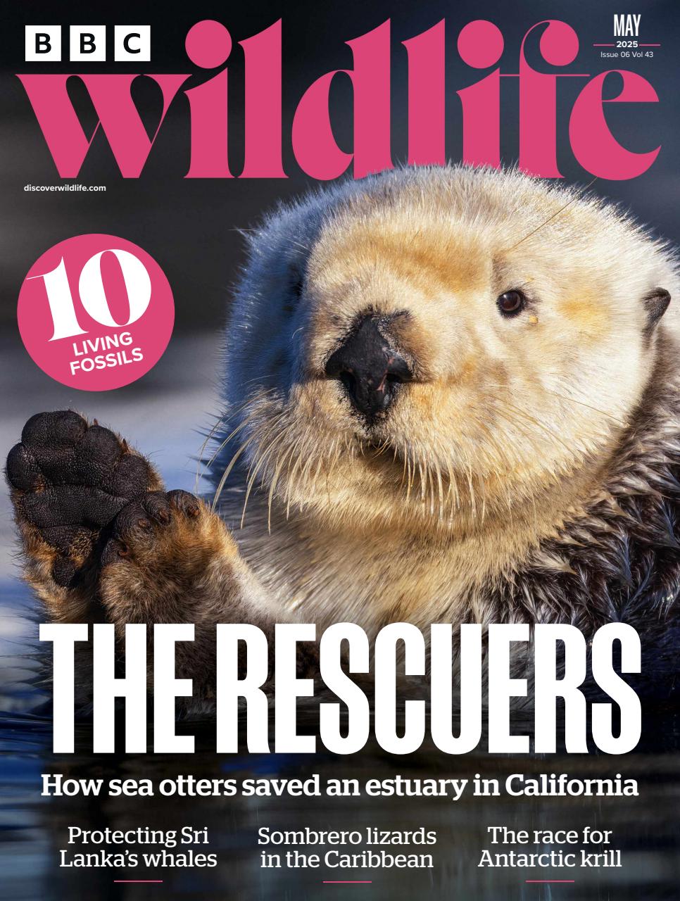 BBC Wildlife Magazine Preview Pages