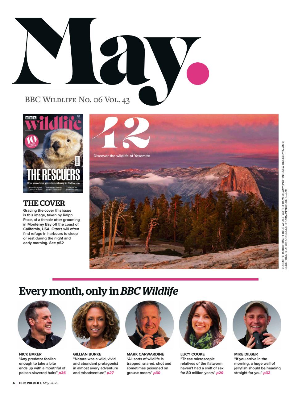 BBC Wildlife Magazine Preview Pages