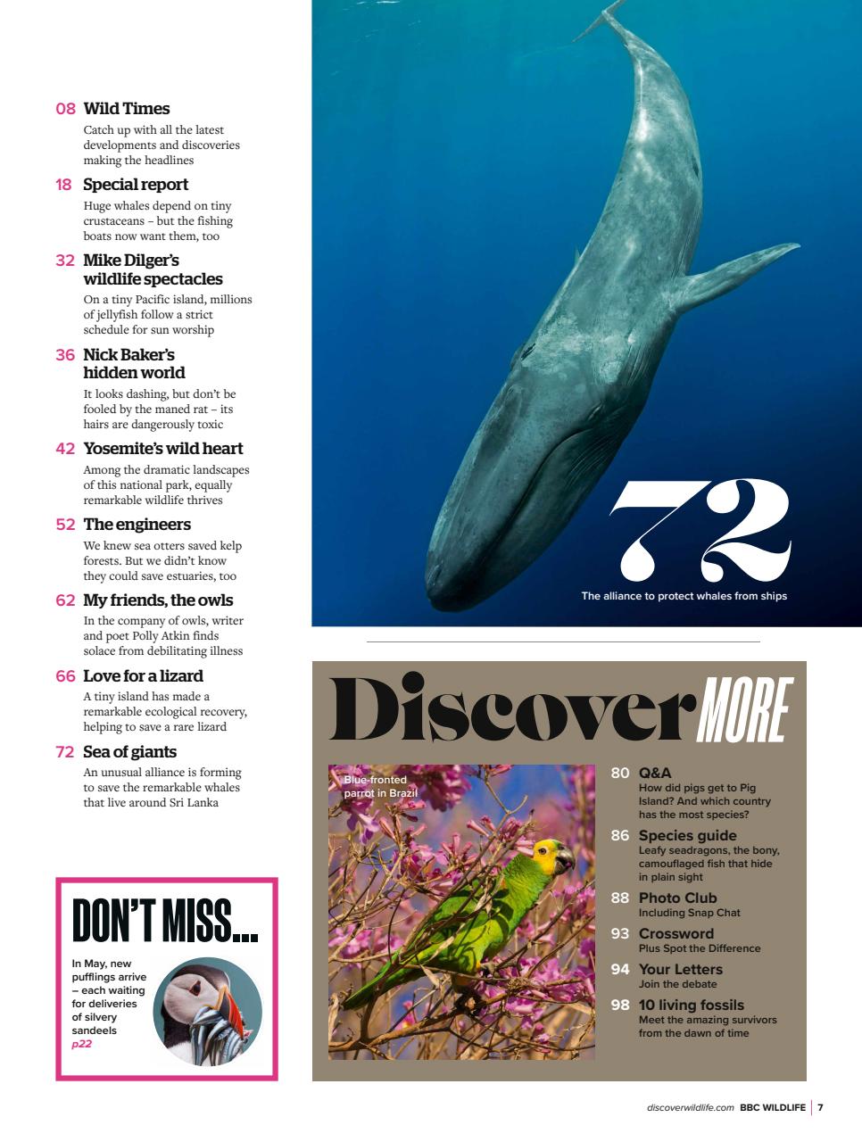 BBC Wildlife Magazine Preview Pages