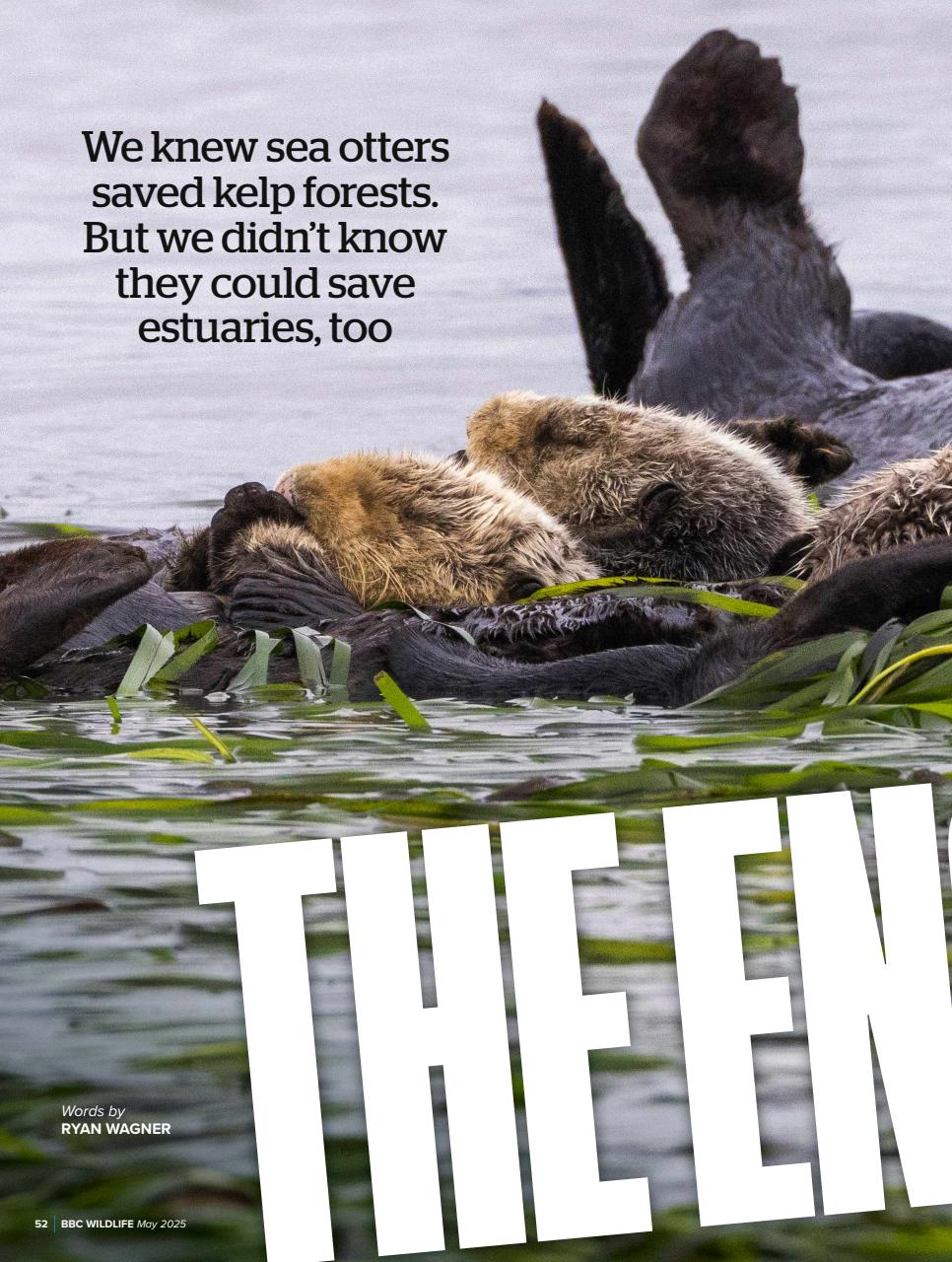 BBC Wildlife Magazine Preview Pages