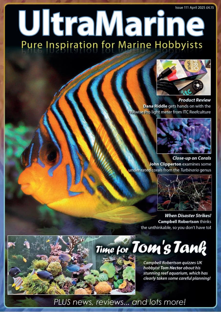 UltraMarine Magazine Preview Pages