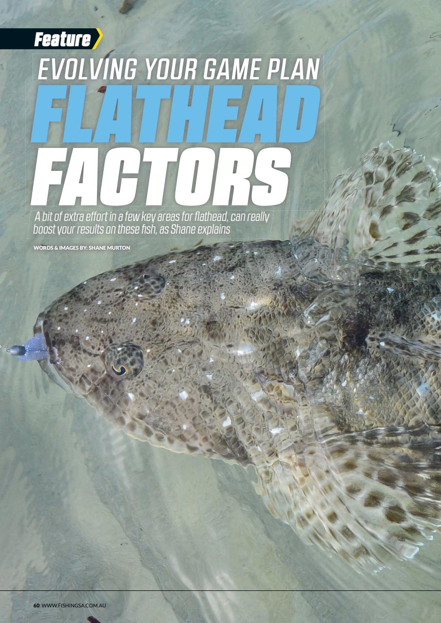 Fishing SA Preview Pages