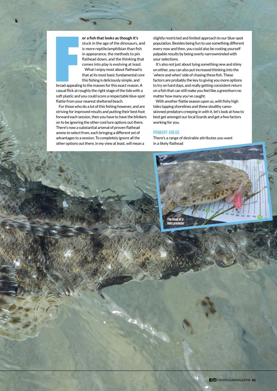 Fishing SA Preview Pages