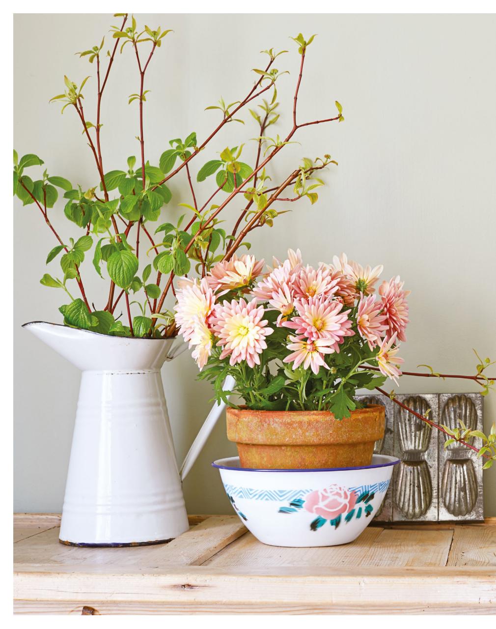 The Simple Things Preview Pages