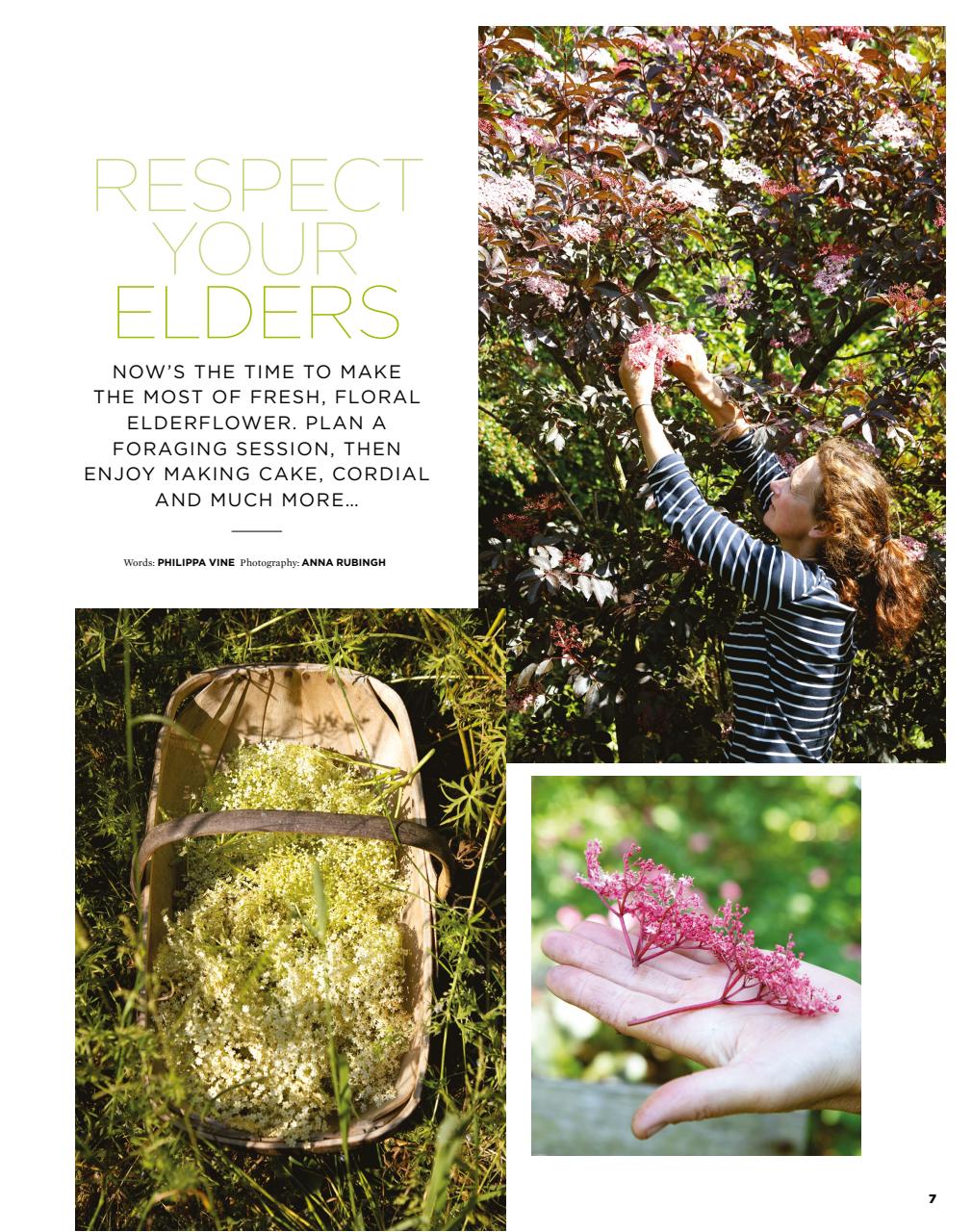 The Simple Things Preview Pages