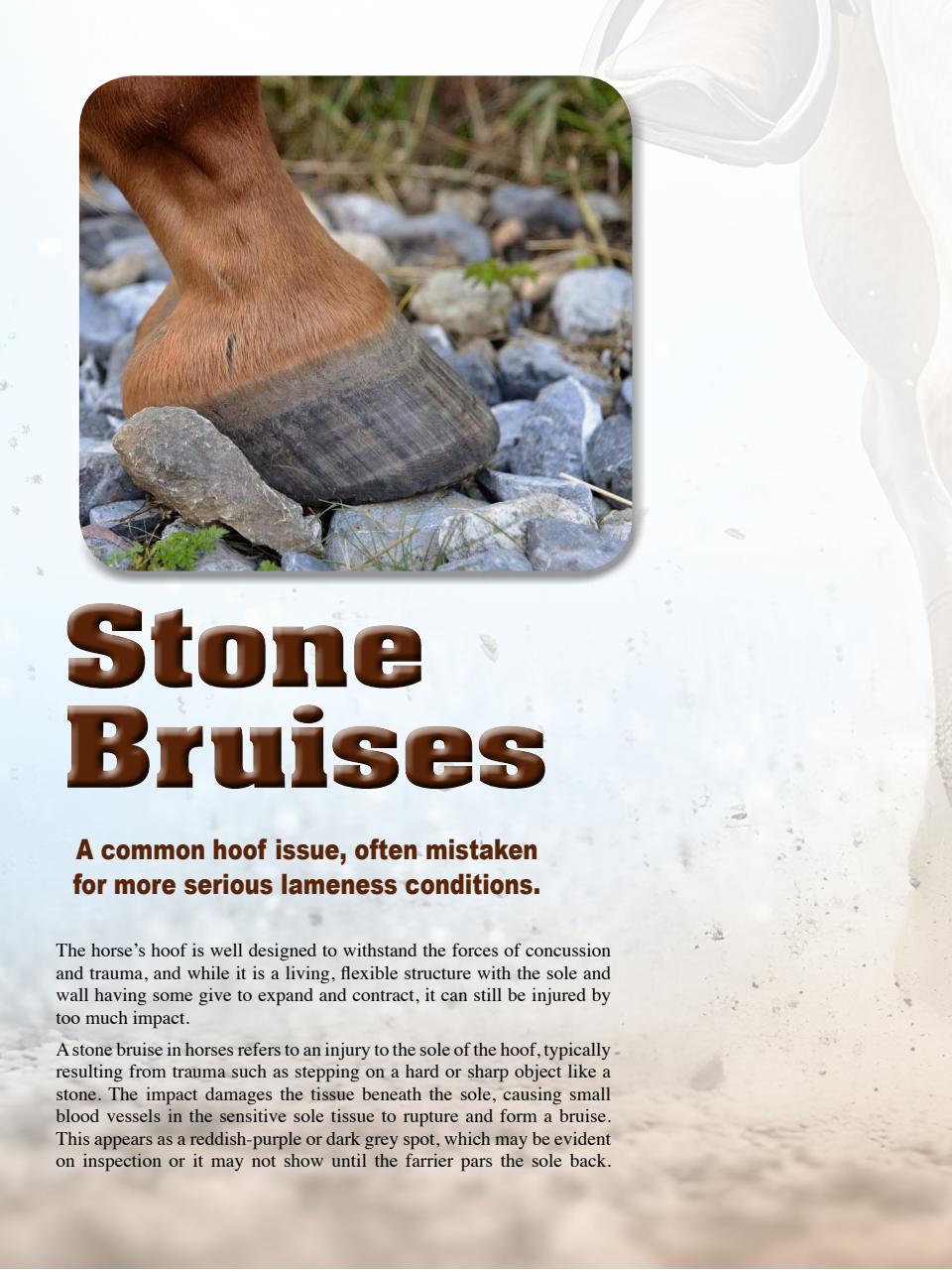 Hoofbeats Preview Pages