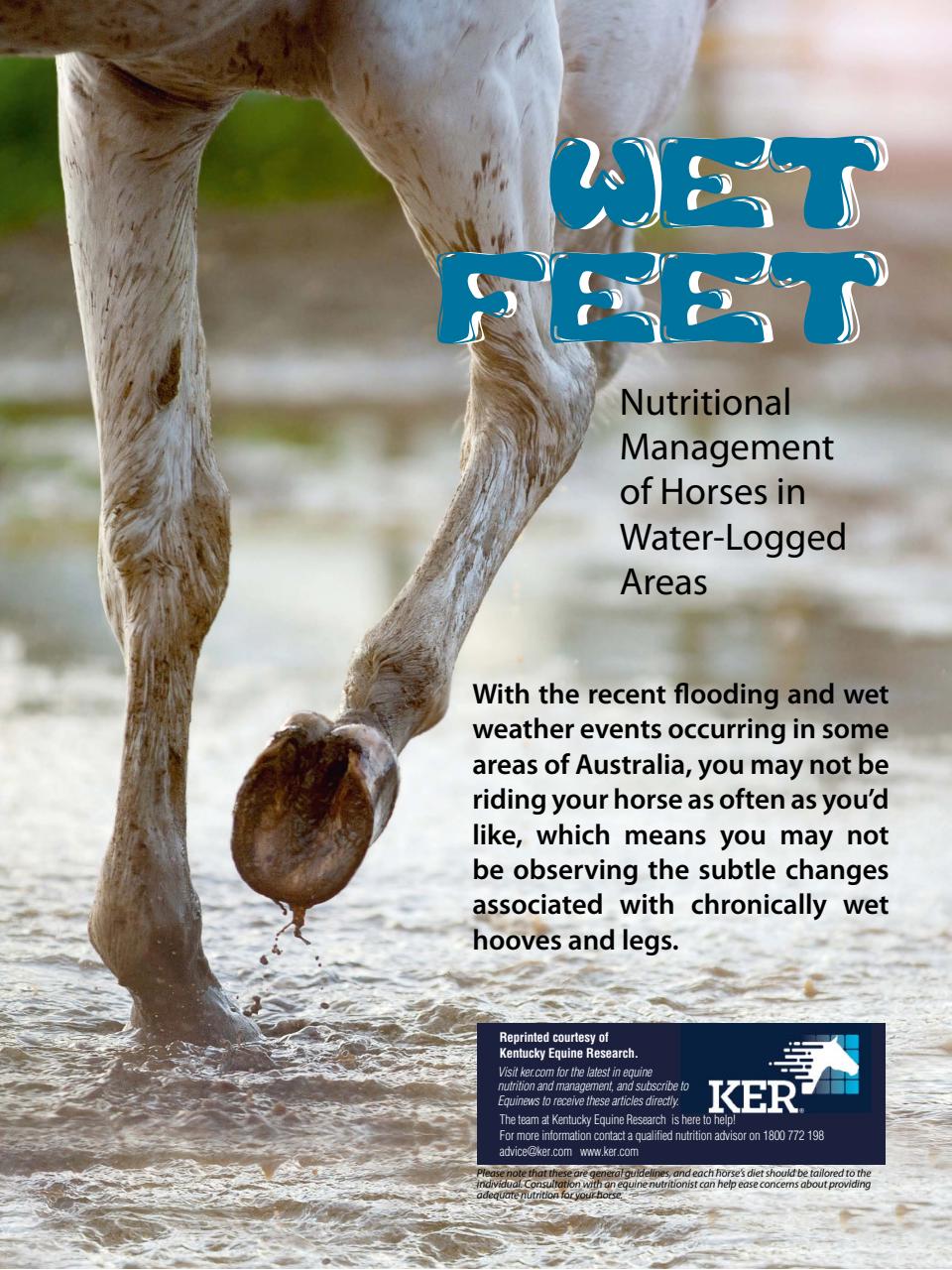 Hoofbeats Preview Pages