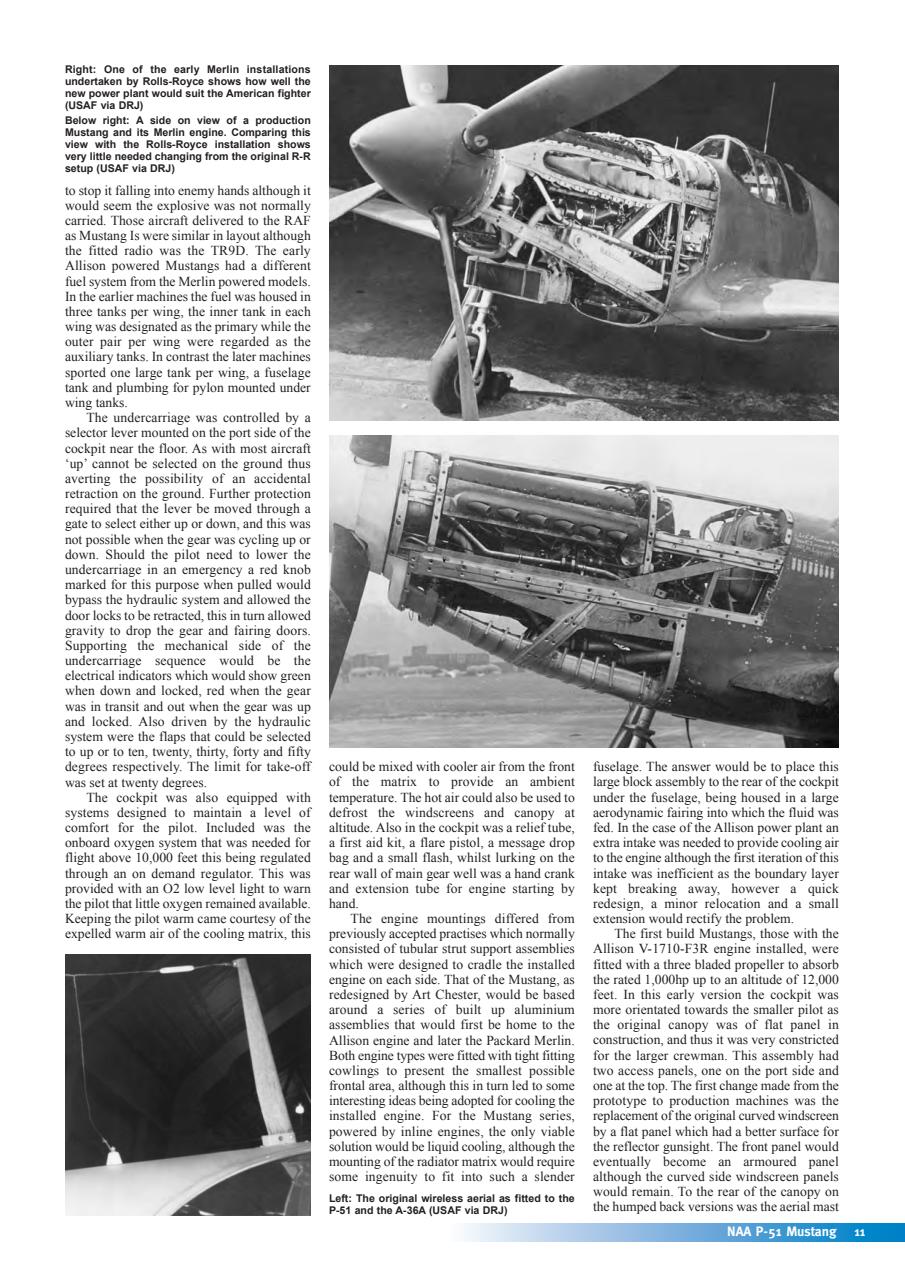 Warpaint Preview Pages