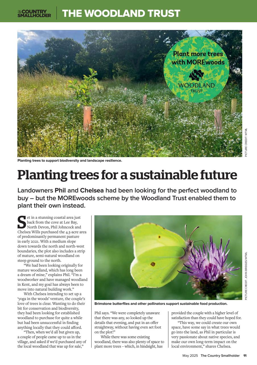 The Country Smallholder Preview Pages