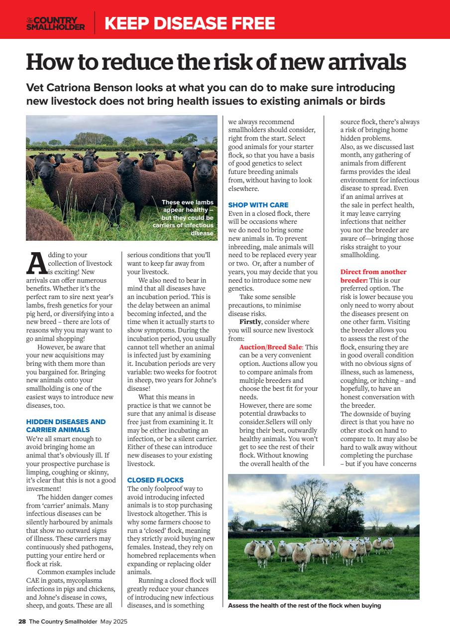 The Country Smallholder Preview Pages