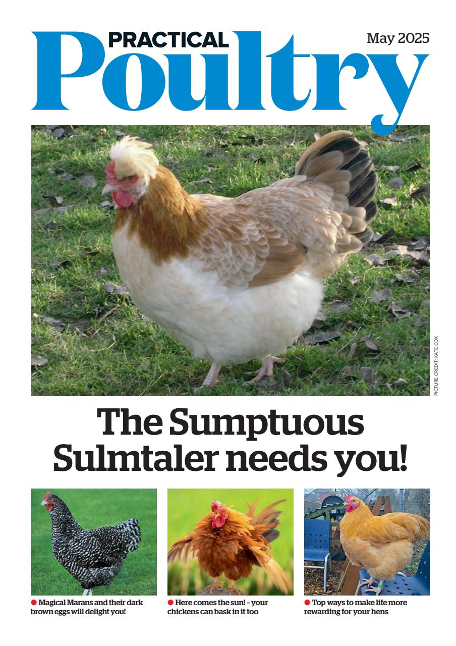 The Country Smallholder Preview Pages