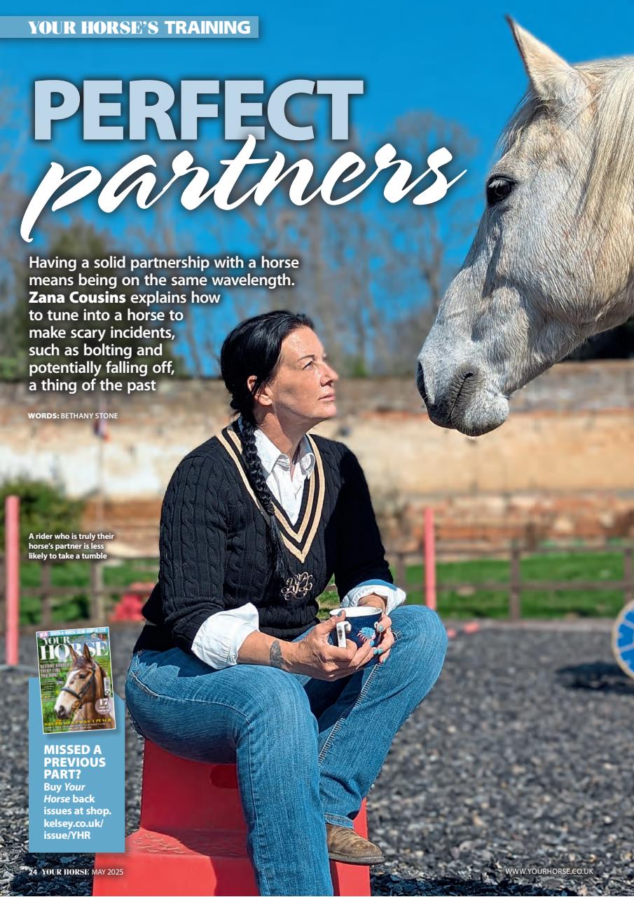 Your Horse Preview Pages