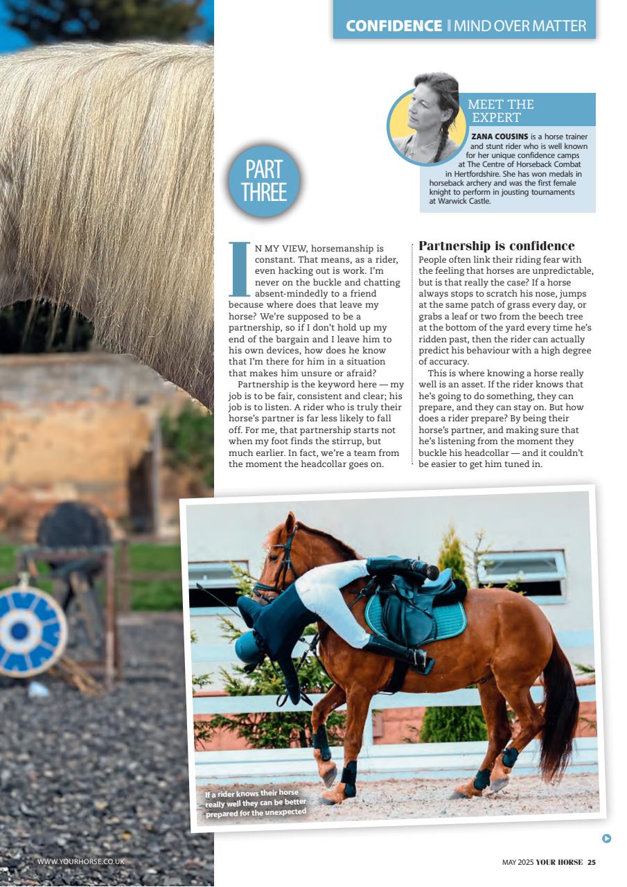 Your Horse Preview Pages