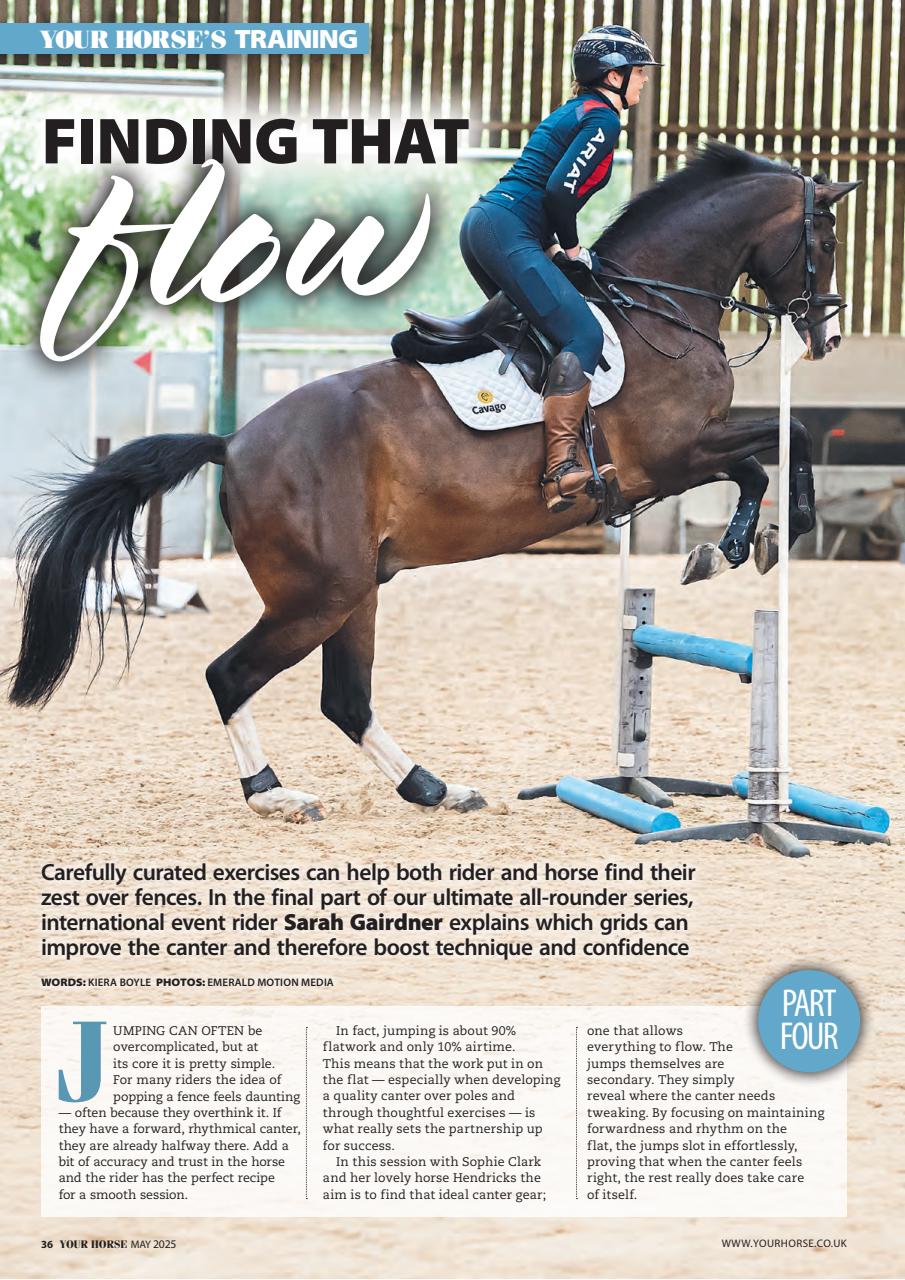 Your Horse Preview Pages