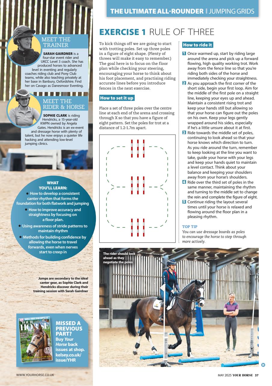 Your Horse Preview Pages