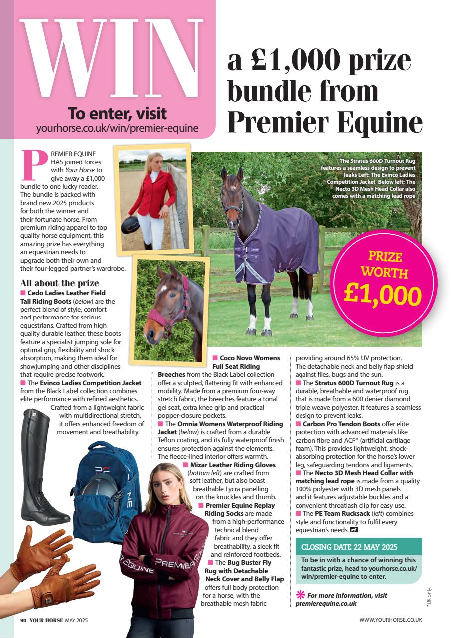 Your Horse Preview Pages