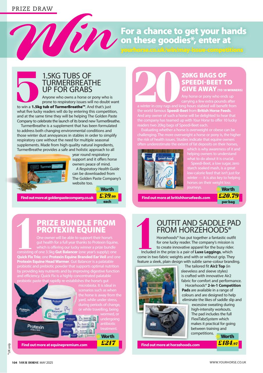 Your Horse Preview Pages