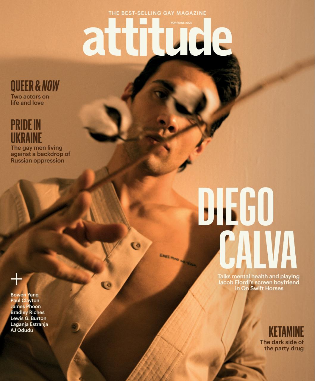 Attitude Preview Pages