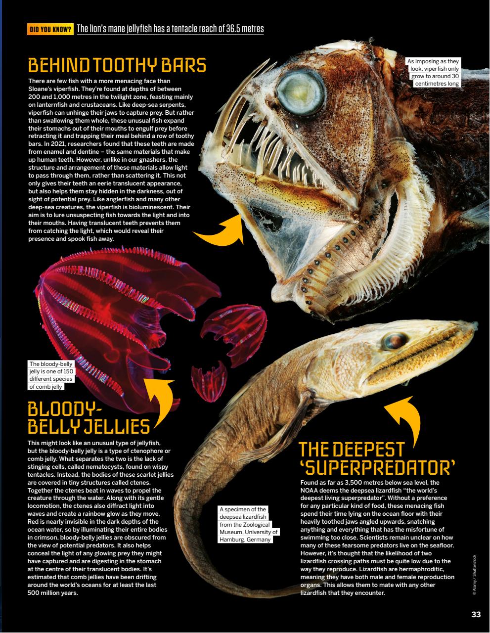 How It Works Preview Pages