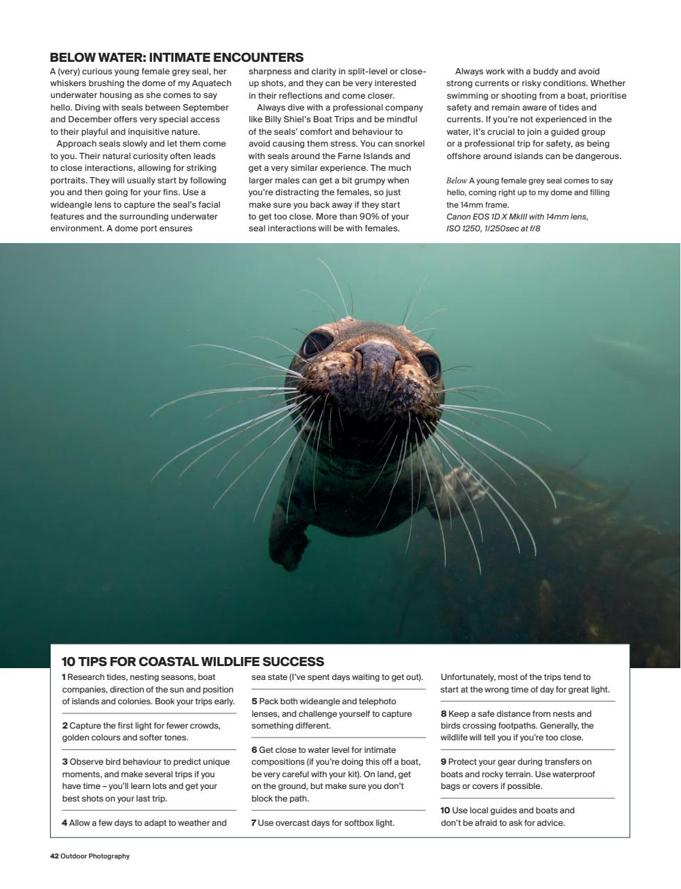 Outdoor Photography Preview Pages