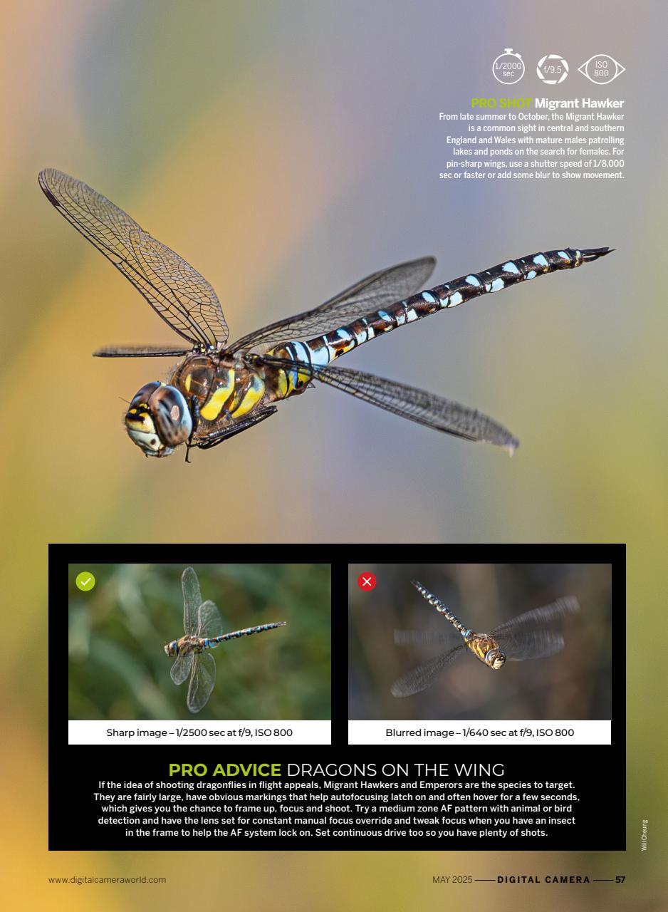 Digital Camera Magazine Preview Pages