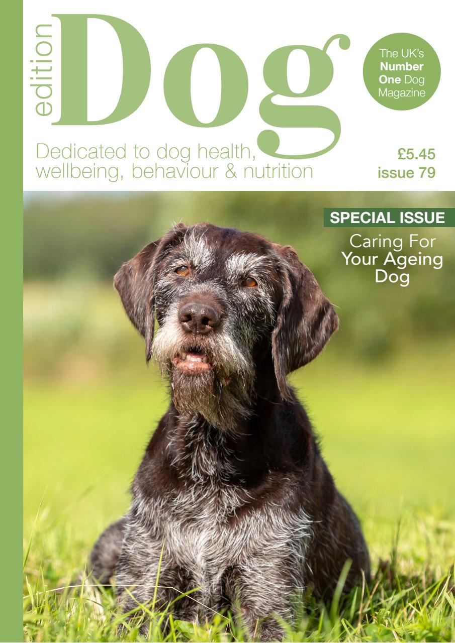 Edition Dog Preview Pages