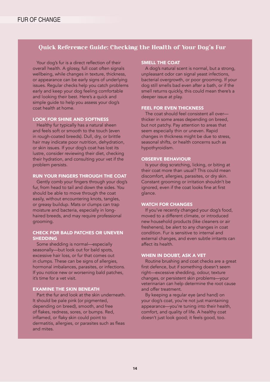 Edition Dog Preview Pages