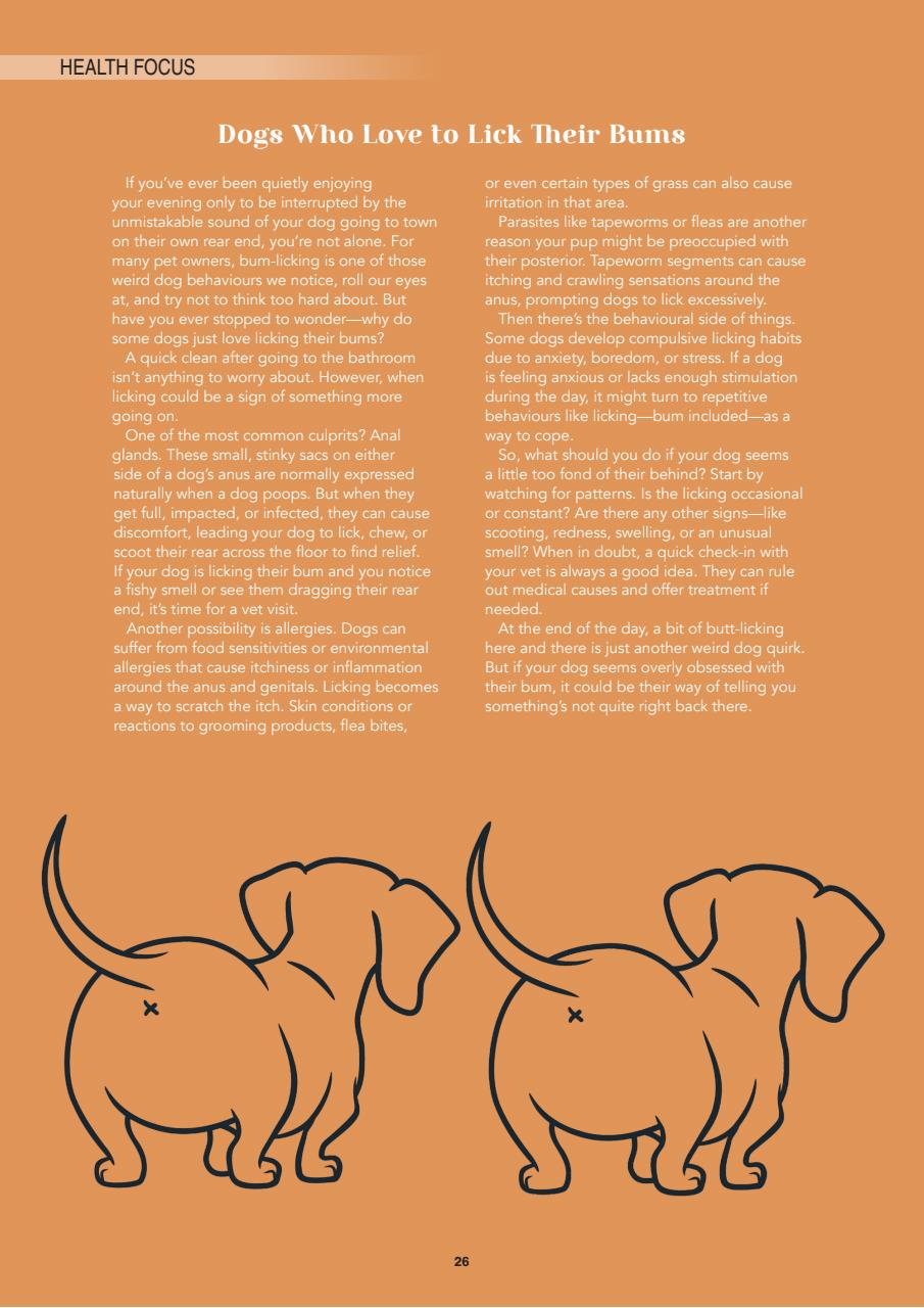 Edition Dog Preview Pages