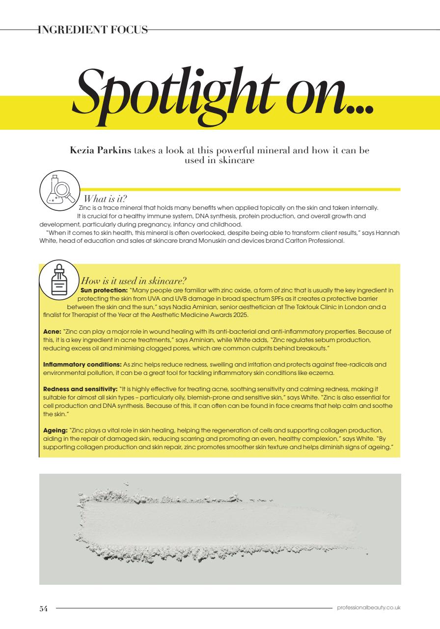 Professional Beauty Preview Pages