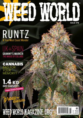 Weed World issue WW173