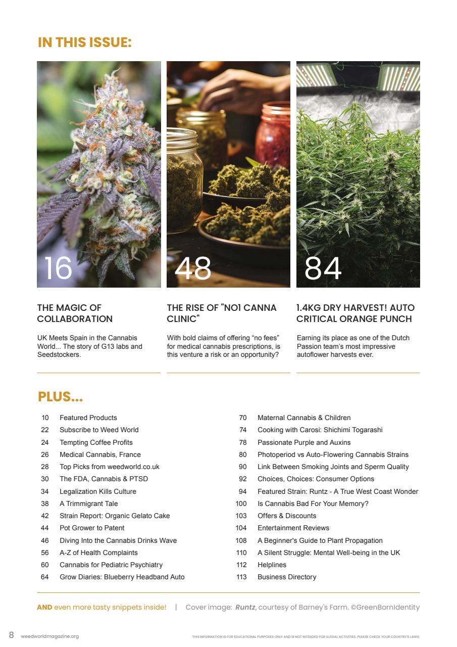 Weed World Preview Pages