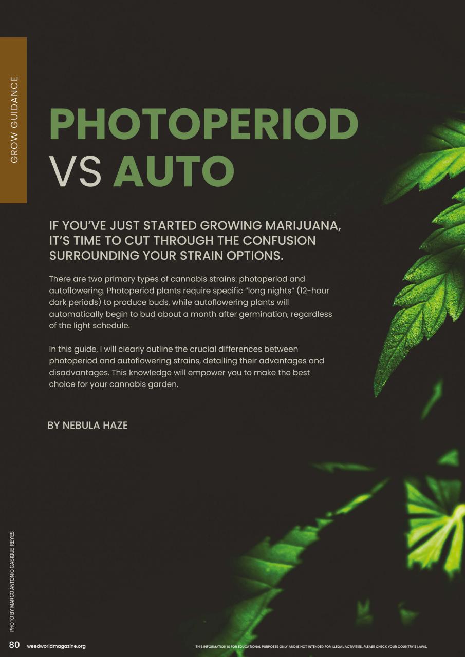 Weed World Preview Pages