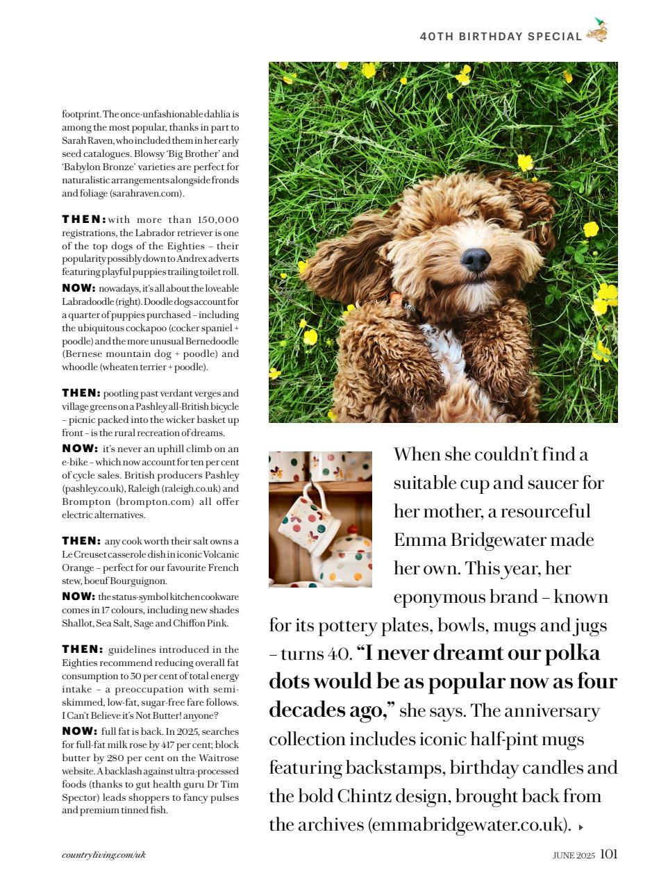 Country Living Preview Pages