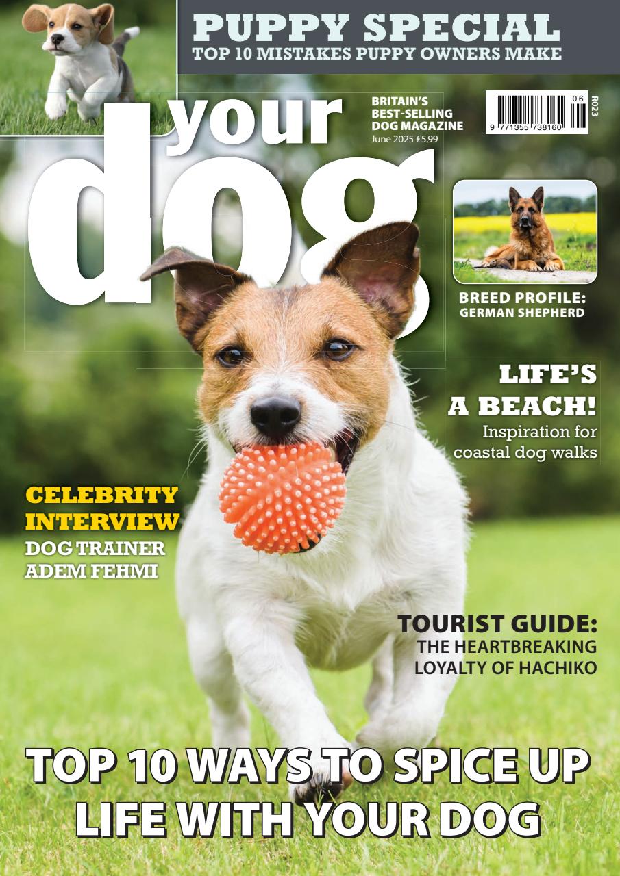 Your Dog Preview Pages