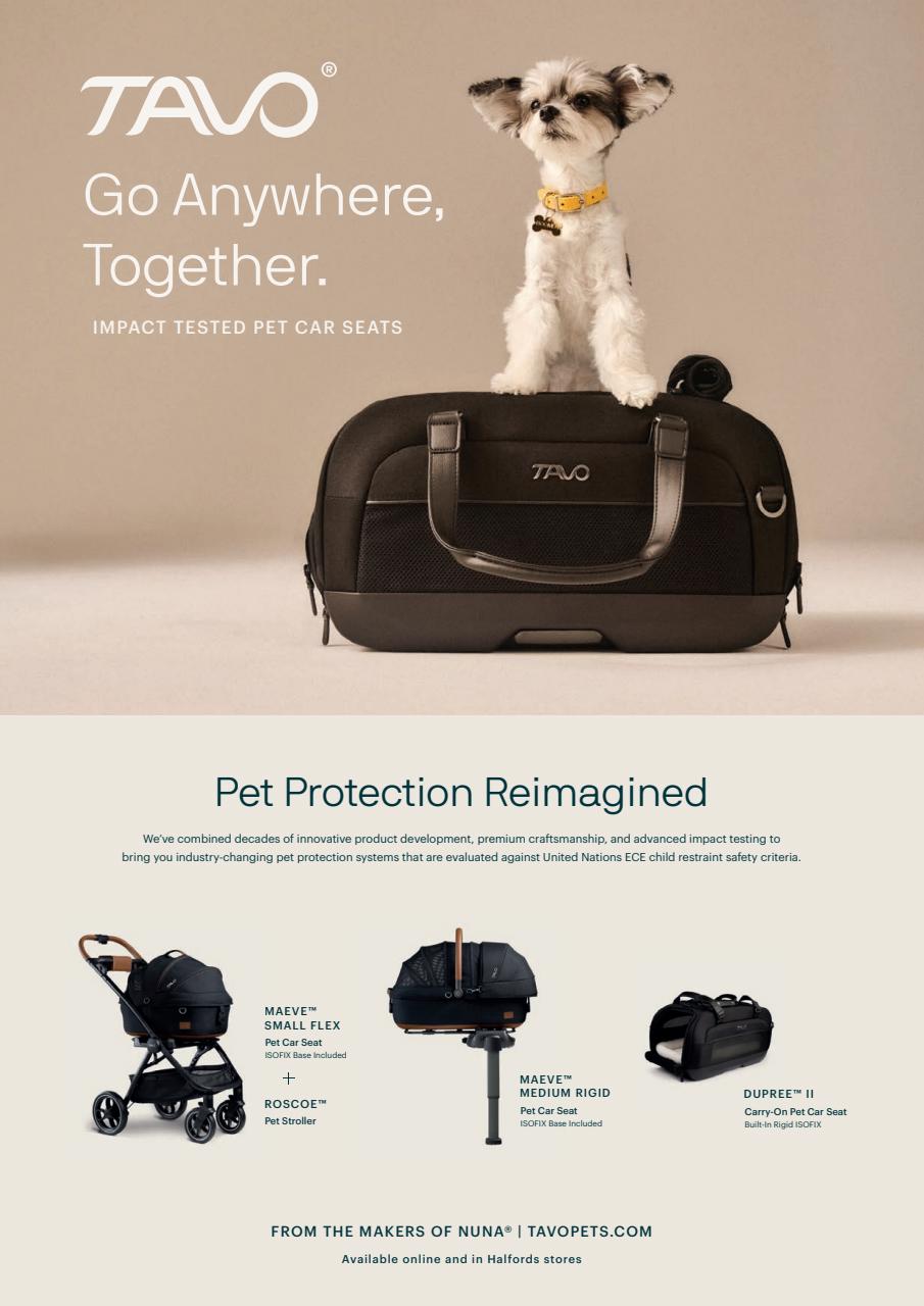 Your Dog Preview Pages