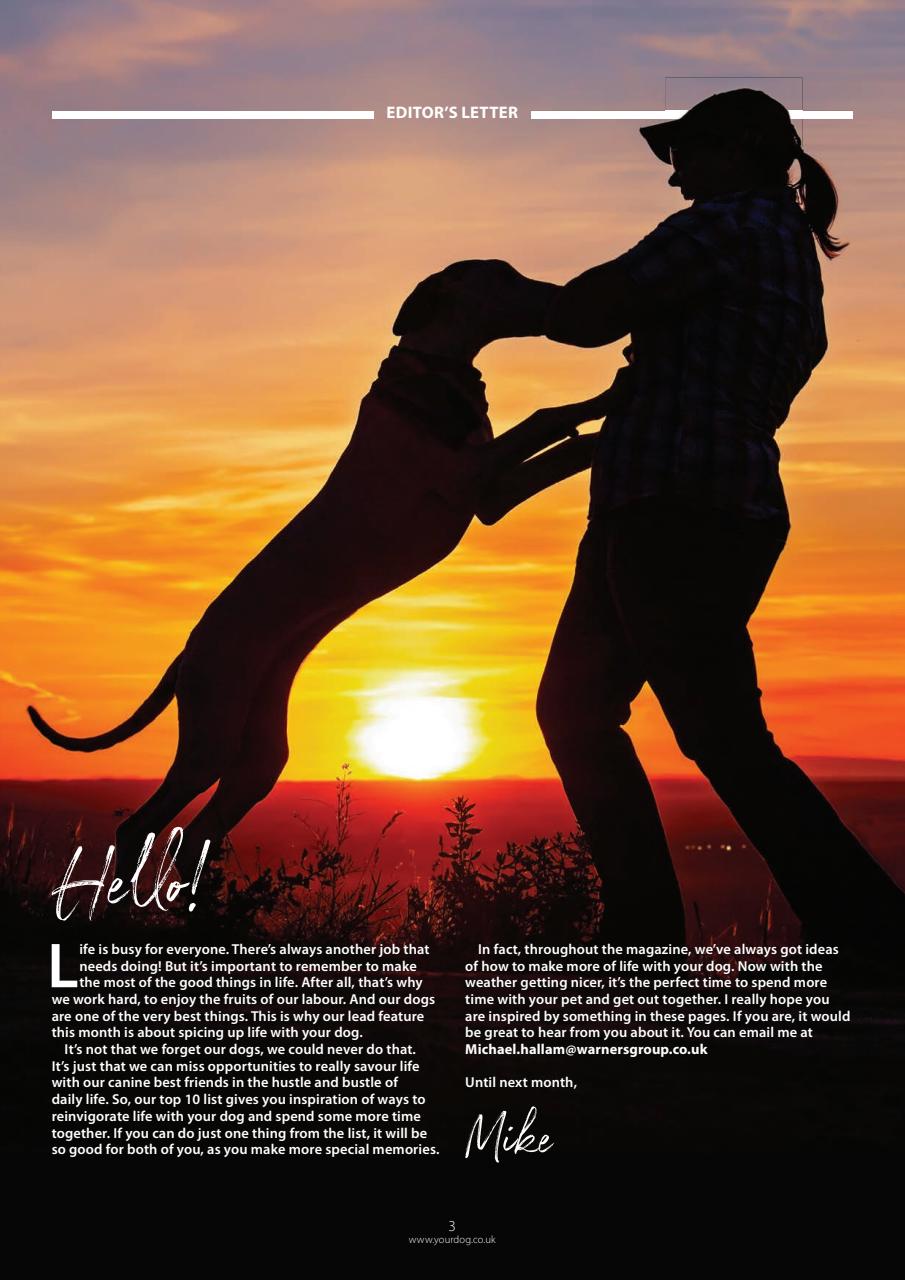 Your Dog Preview Pages