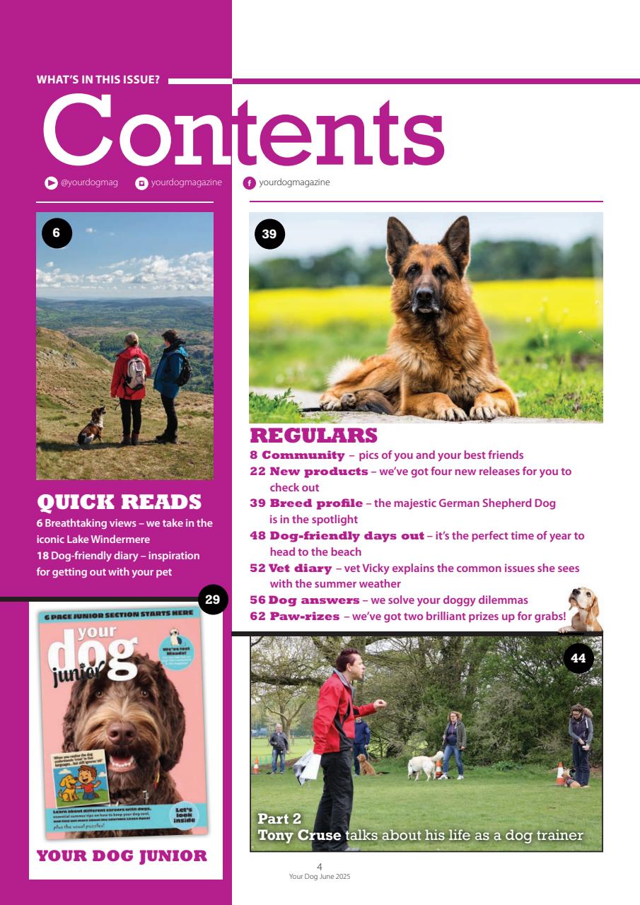 Your Dog Preview Pages