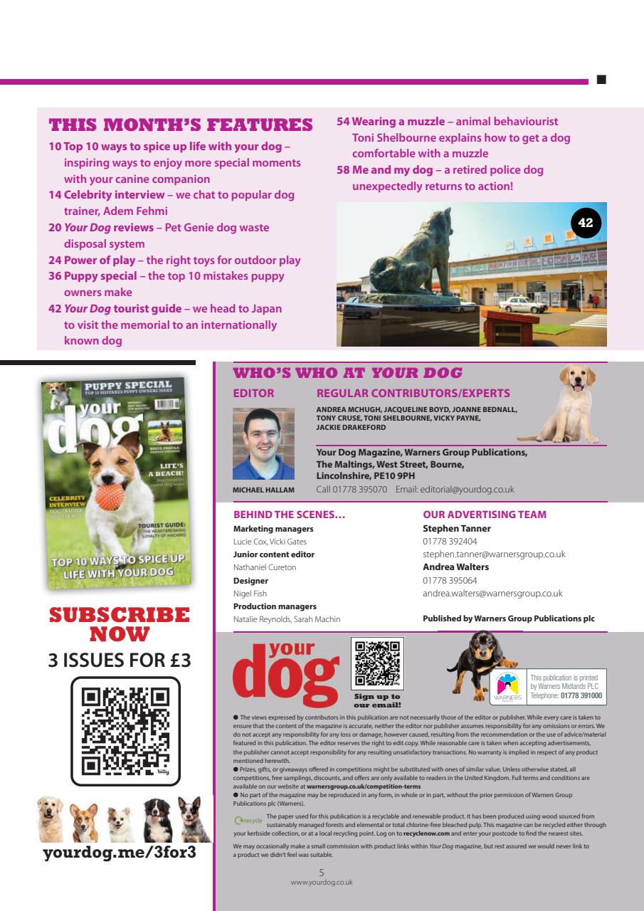 Your Dog Preview Pages