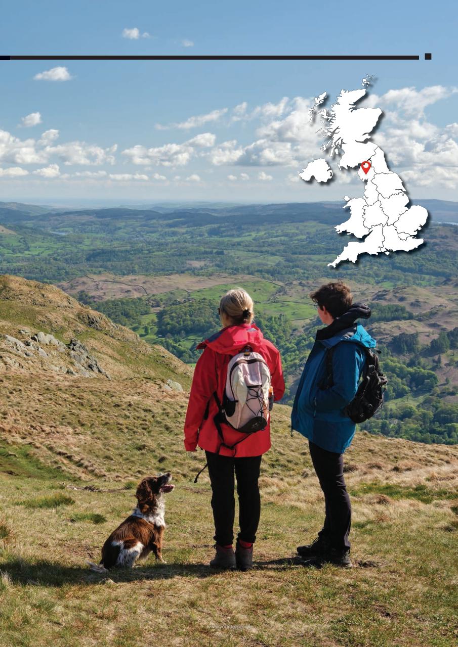 Your Dog Preview Pages