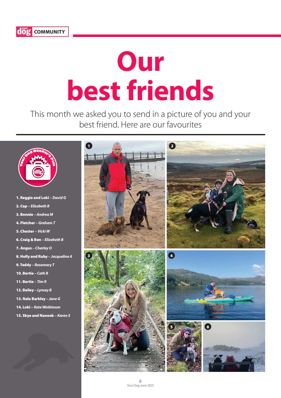 Your Dog Preview Pages