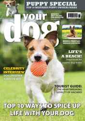 Your Dog Discounts